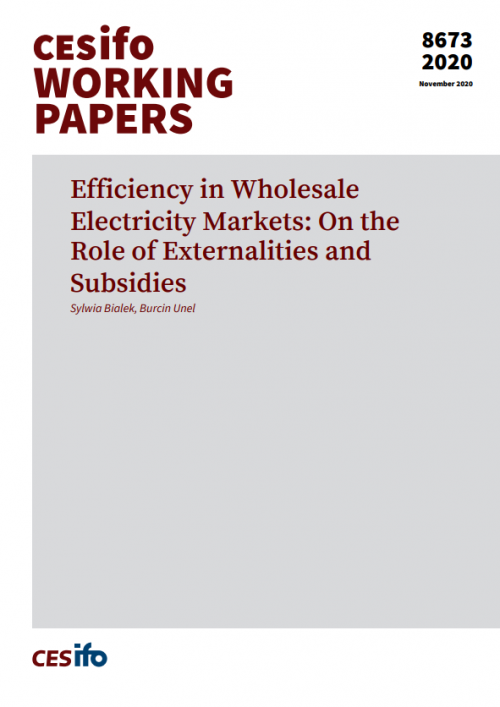 Efficiency in Wholesale Electricity Markets: On the Role of Externalities and Subsidies Cover