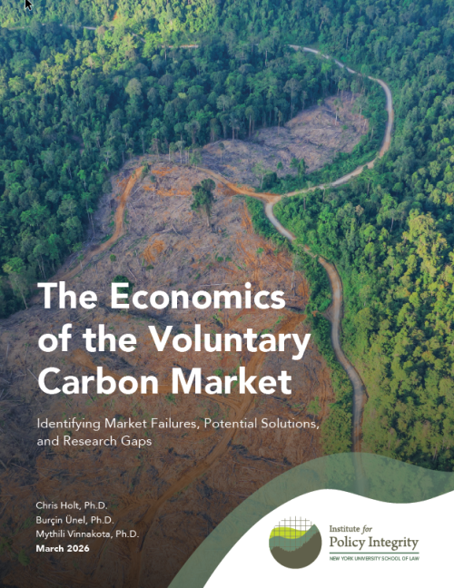 The Economics of the Voluntary Carbon Market – Institute for Policy ...