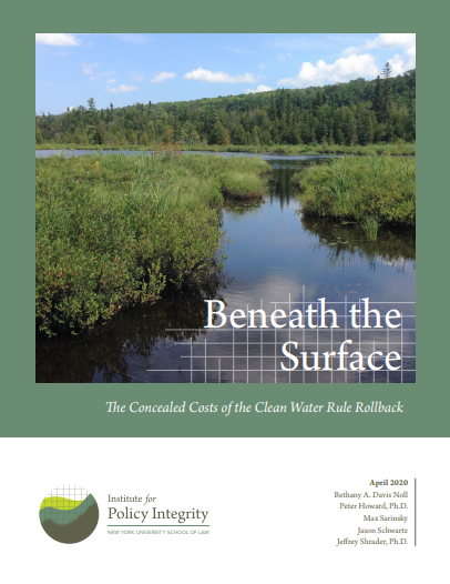 Beneath the Surface Cover
